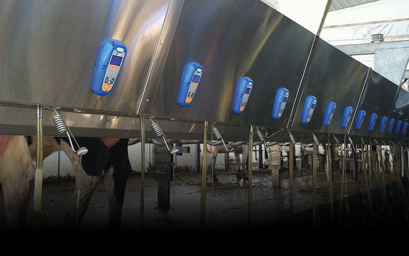 Prodotti mungitura - Enne Effe Prodotti mungitura - Enne Effe