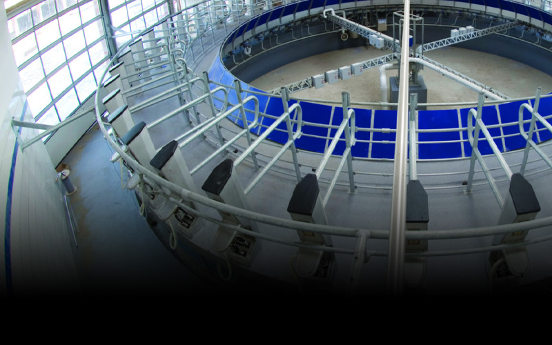 Impianti di mungitura - Enne Effe Impianti di mungitura - Enne Effe