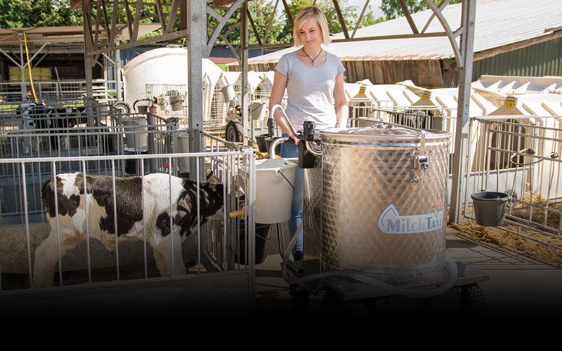 Gestione dei Vitelli - Enne Effe Gestione dei Vitelli - Enne Effe