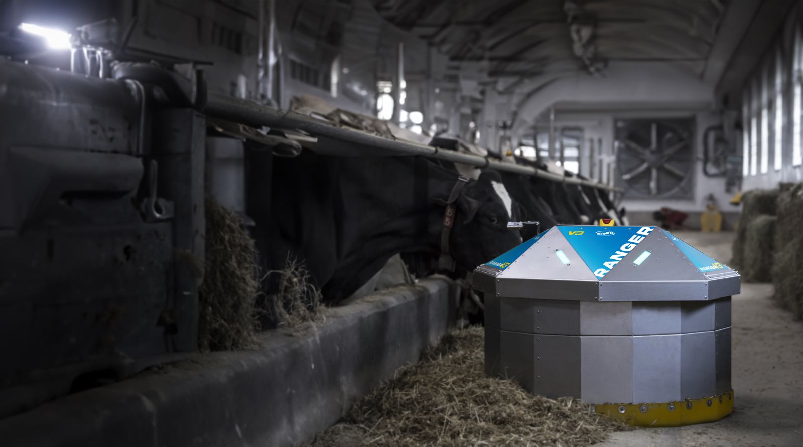 Gestione mandria - Enne Effe Gestione mandria - Enne Effe