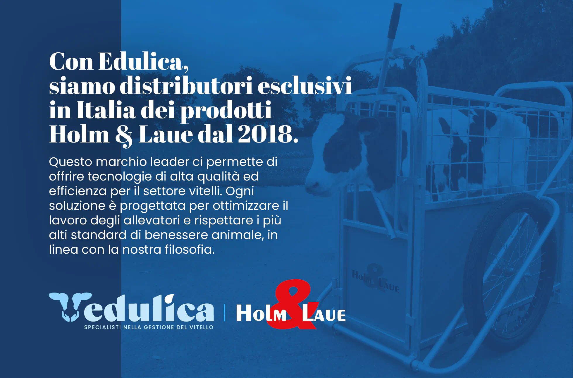 Distributori esclusivi dei prodotti Holm&Laue